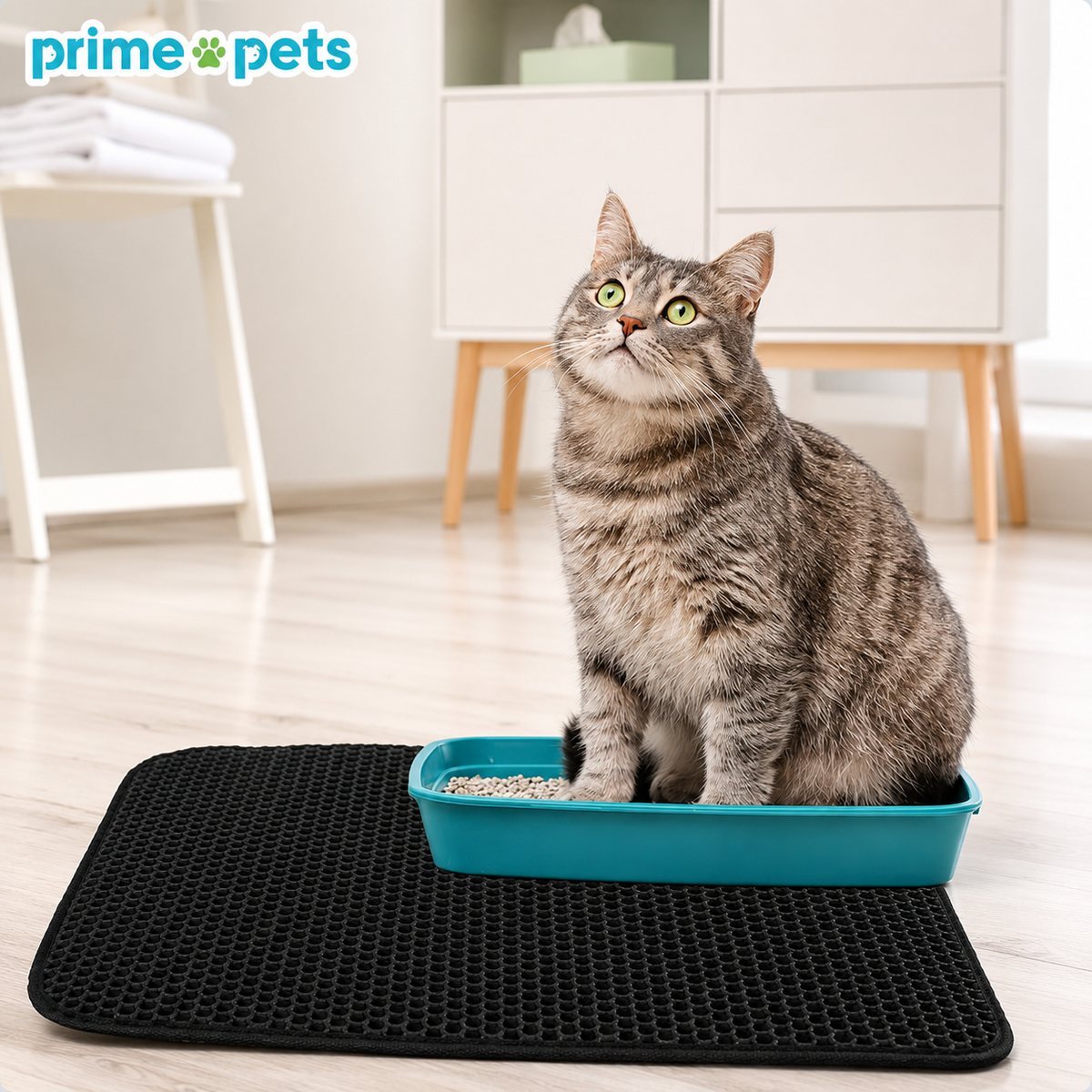 Alfombra Atrapa Arena Para Gatos